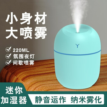 卧室迷你家用办公室桌面车载静音孕妇婴儿净化空气加湿补水大雾量USB便携式空气加湿器迷你插电款【大喷雾量+智能断电】薄荷绿220ML	